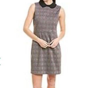NWT! CeCe modern romance collared dress Large